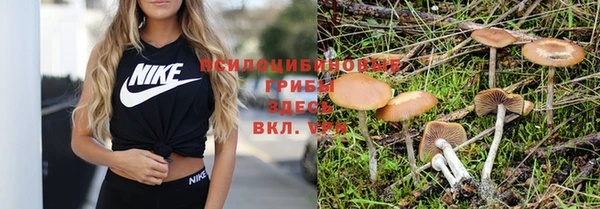 не бодяженный Абинск
