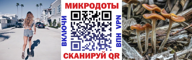 Галлюциногенные грибы MAGIC MUSHROOMS Похвистнево