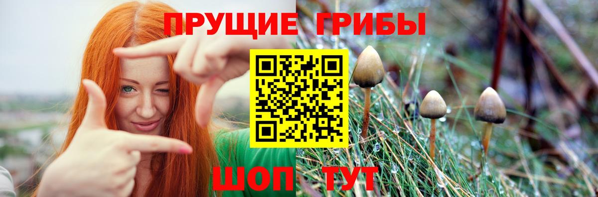 Галлюциногенные грибы Cubensis  магазин продажи наркотиков  Похвистнево  Вход с VPN 